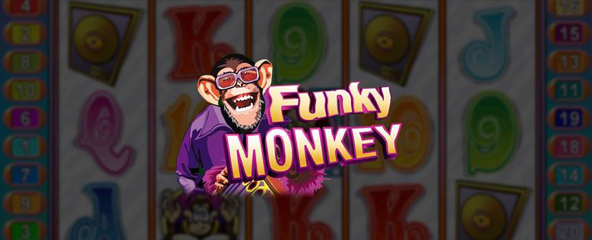 The Funky Monkey slot machine is a groovy online slot machine designed to help you win it big while you’re playing and maximize your fun and excitement. All of our online casino slots are real, offering you the opportunity to play for real money across hundreds of different games and stories, depending on your mood and what you’re interested in at any given moment. 